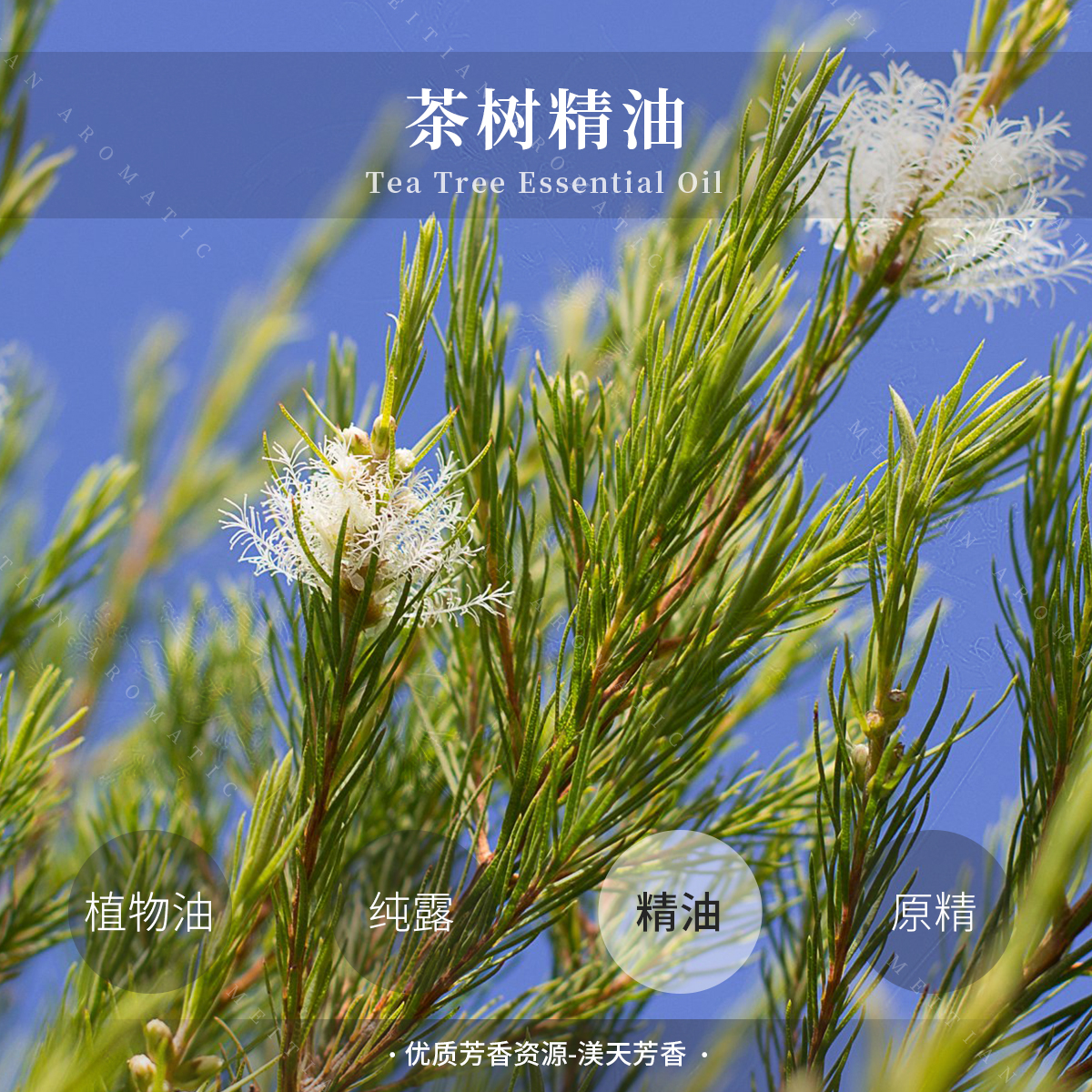 茶树精油
