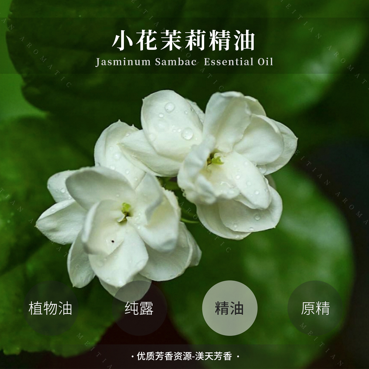 小花茉莉精油